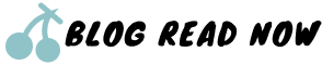 www.blogreadnow.com